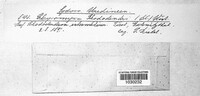 Image Associated With the Occurence